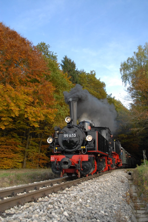 Öchsle-Dampflok mit Zug fährt im Herbst durch einen Wald mit bunt gefärbtem Laub