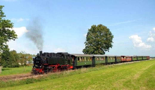 Öchsle-Dampfzug mit grünen Wagen fährt im Sommer an Wiesen und einem großen Baum vorbei