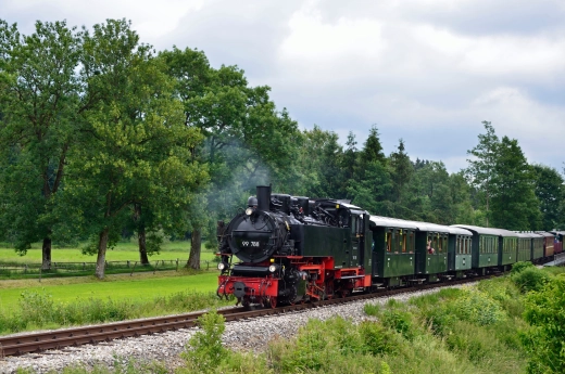 Dampfzug mit schwarzer Lok und grünen Wagen fährt an Bäumen und Wiesen vorbei
