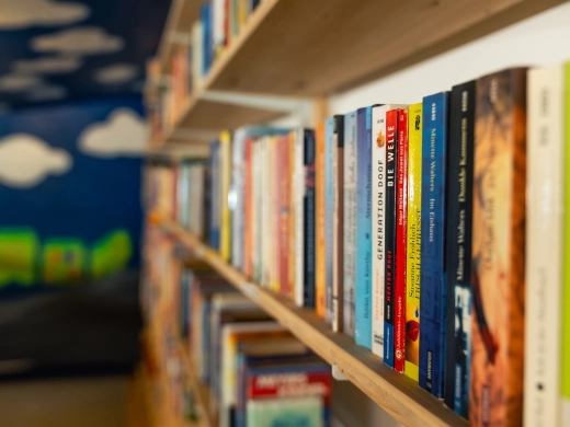 Hofbücherei mit gefülltem Bücherregal aus Holz, links verschwommen eine blaue Wand mit Wolken