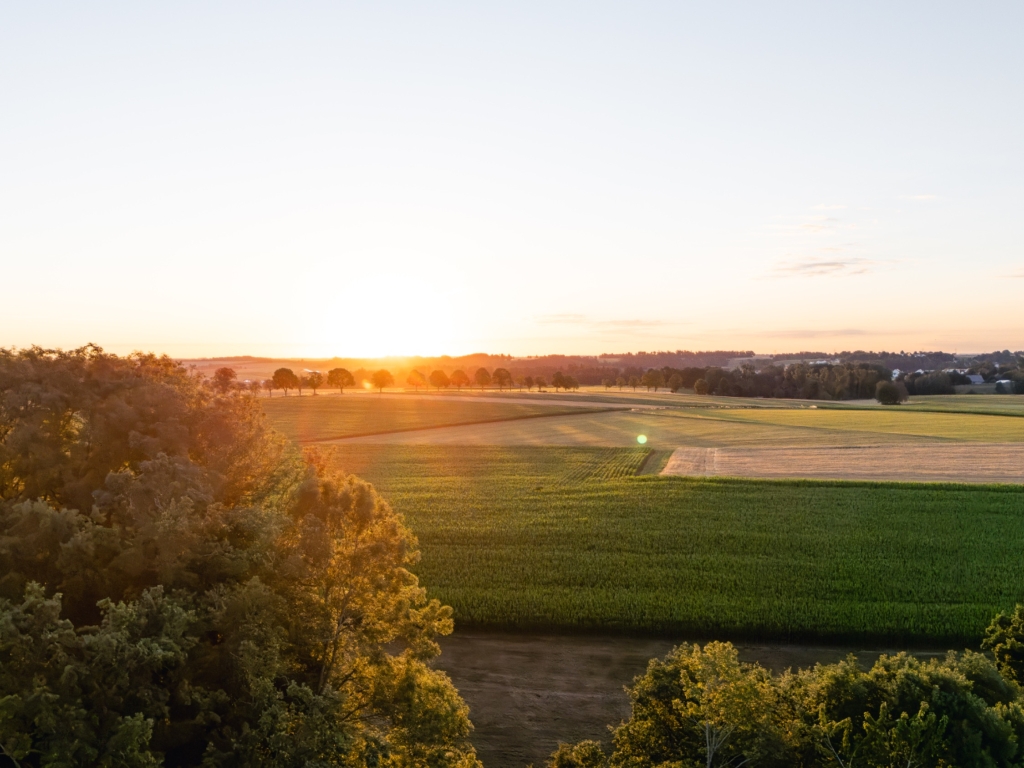 Tief stehende Sonne über Feldern in Oberschwaben, im Vordergrund Baumkronen im Gegenlicht