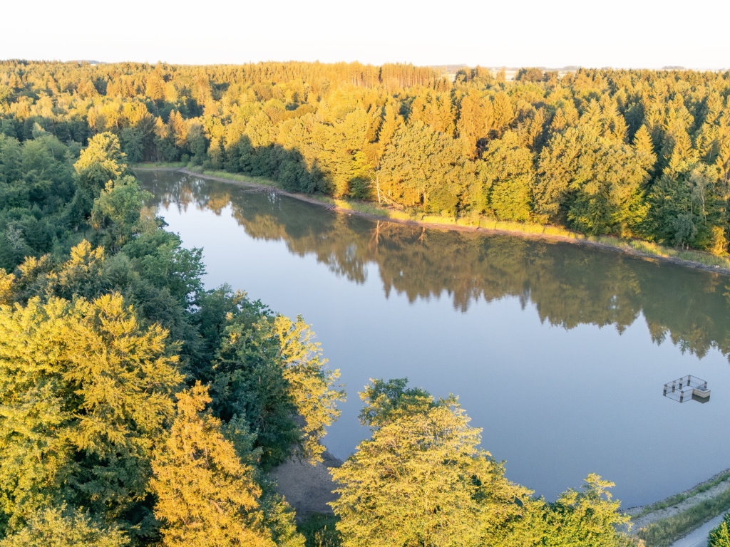 Luftaufnahme des Neuweihers im Morgenlicht, umgeben von Wald mit goldgelb beleuchteten Baumkronen