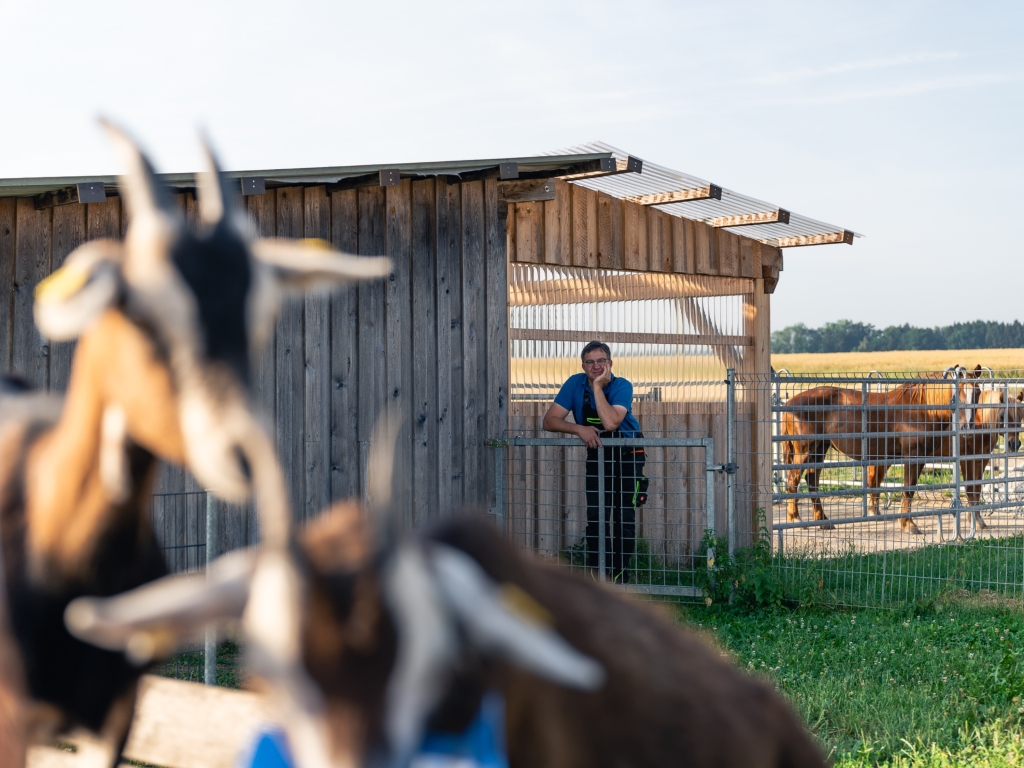 Ziegen im Vordergrund vor einem offenen Holzstall, dahinter eine Person und Pferde