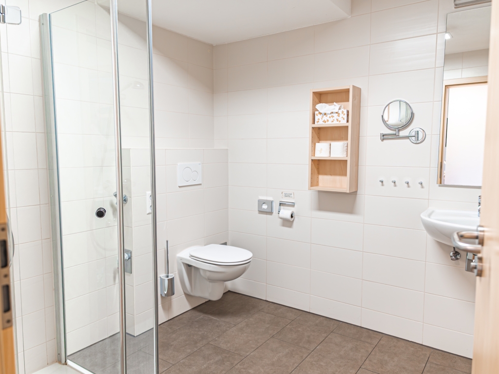 Ferienwohnung 1: Badezimmer mit Glasdusche, WC, Waschbecken, Wandregal und Kosmetikspiegel