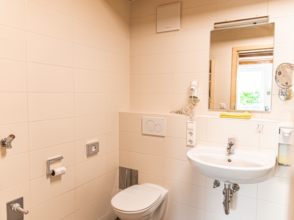 Ferienwohnung 5: Badezimmer mit Wand-WC, Waschbecken und Spiegel mit Leuchte