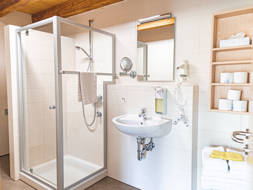 Ferienwohnung 6: Badezimmer mit Duschkabine, Waschbecken, Spiegel und Wandregal mit Handtüchern